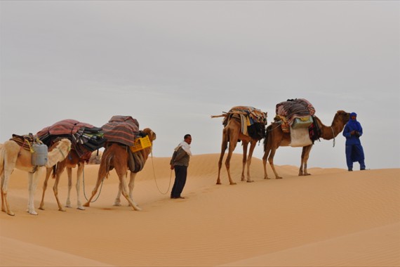 Sabria Voyages Tunisie